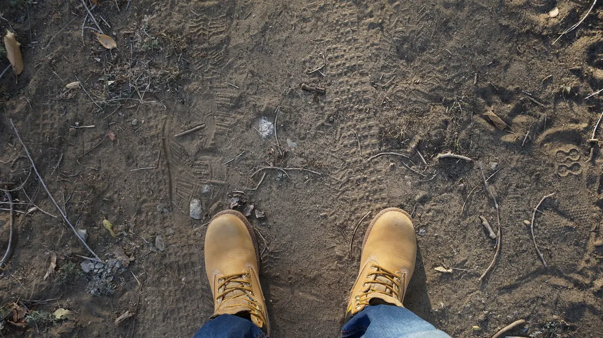 Five Common Mistakes New Wetland Walkers Make