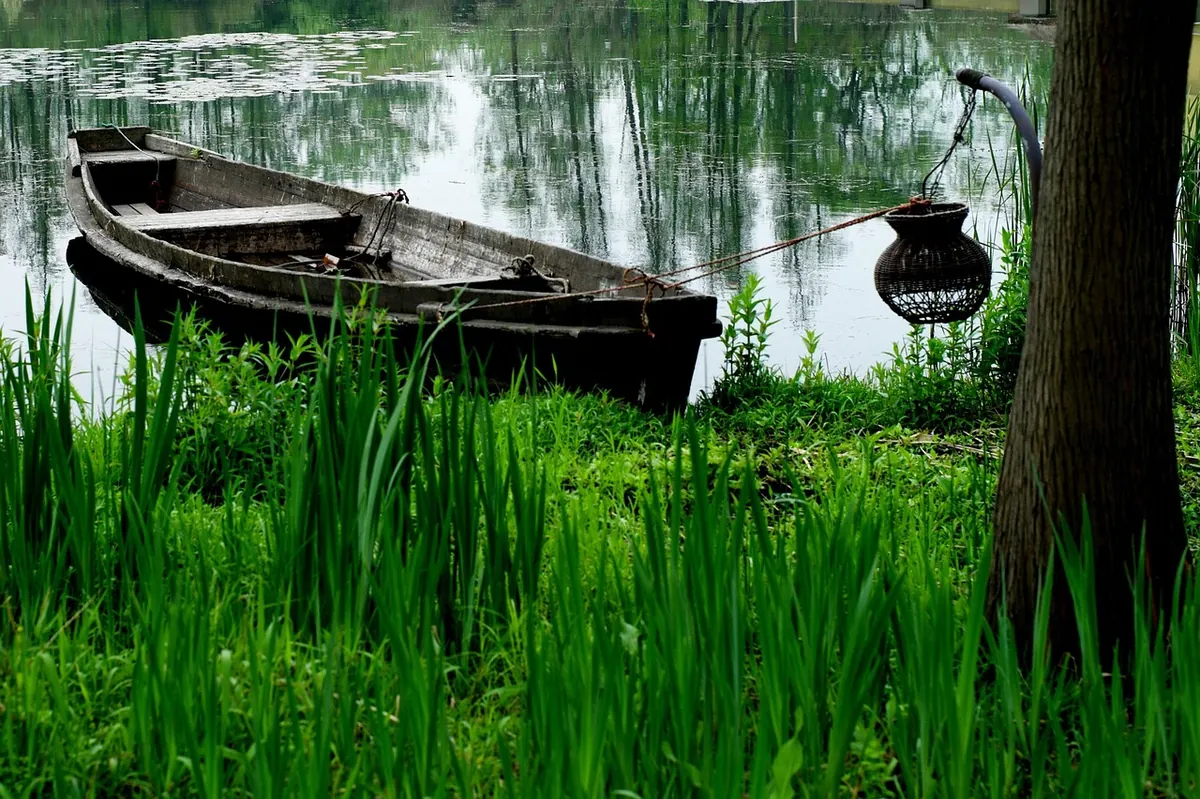 Norfolk Broads Wetland Trails: Short Walks, Bird Hides and Practical Tips