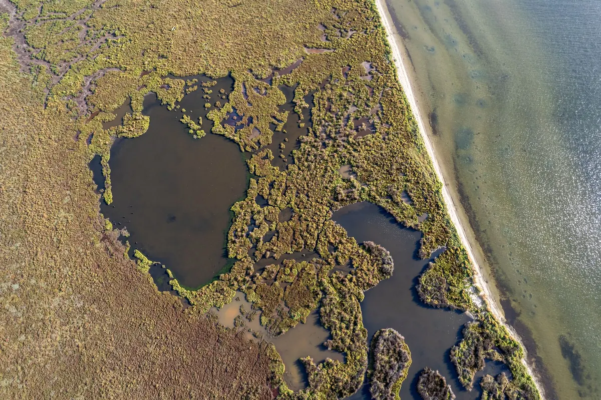 Why Wetlands Matter: Flood Defence, Carbon Storage and Wildlife Habitat